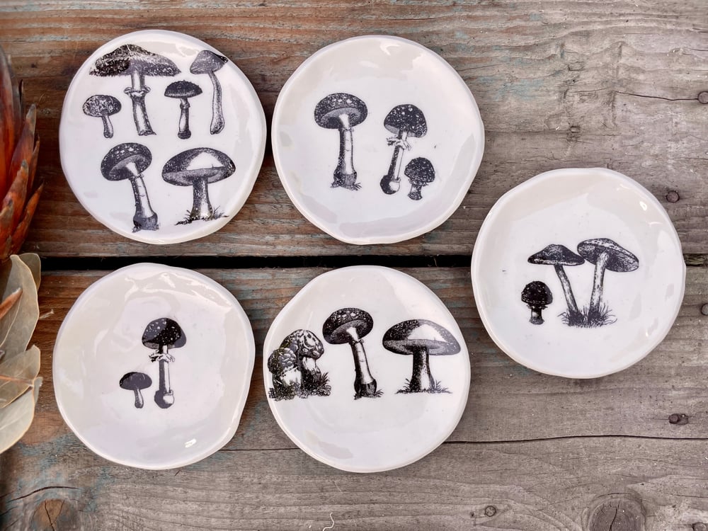 Image of Mushroom trinket dishes - more designs 
