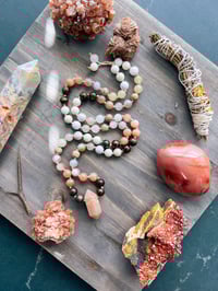 Image 1 of The Seashell Mini