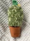 Evil Plant Peebo