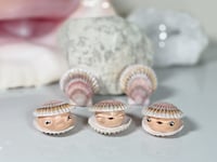 Image 2 of *PREORDER* Scallop Shell Friend
