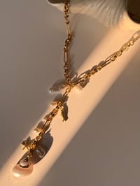 Image 3 of Y Seashell Necklace