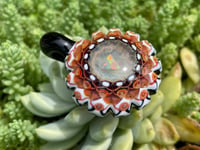 Image 1 of Sol Princess