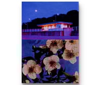 Image 1 of MOCK ORANGE, NIGHT LANDSCAPES