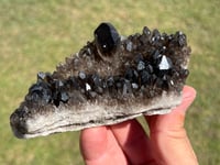Image 10 of Smoky Quartz Crystal Points Cluster | Brazil #2971