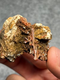 Image 5 of Crocoite Cluster Specimen From Tasmania #2423