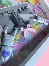 Image 2 of Conversation Heart Beetles 