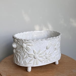 Image of Australian Native Flower Double Cachepot (4262)