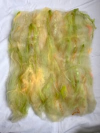 Image 3 of Tropical Batt #1
