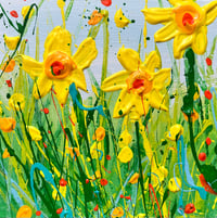 Image 1 of Spring Daffs