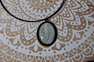 Image of ‘Dessert Snow’ Collection - Veiled Chameleon