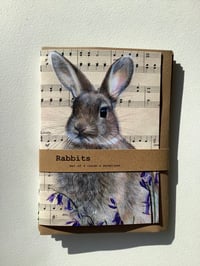 Image 1 of Rabbits