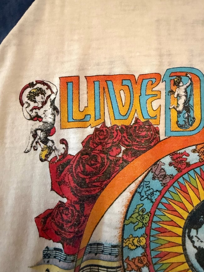 vintage Grateful Dead and Bob Dylan tour t shirt concert raglan 70s 80s 90s