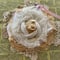 Image of antique cream linen and tea dyed silk  Rose adornment patch copy copy