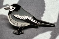 Image 2 of Masked Wagtail - No.14 - Bird Pin Badge Group - Enamel Pin Badge