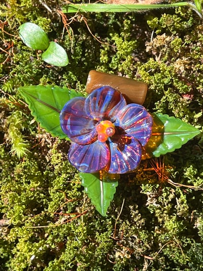 Image of Amber Purple Hibiscus Colab with Black Sand Glass