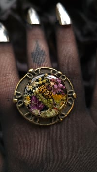 Image 4 of Ladybird and flora big brass ring 