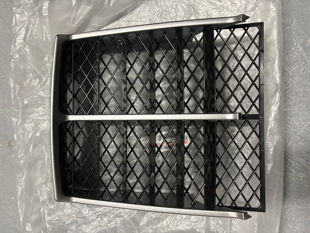 Image of Oem silver banshee grill 