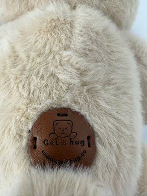 Image of 2 Get Hug Bears with 4 outfits Free Shipping 