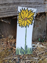 Image 6 of Flower