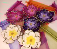 Image 1 of Bloom