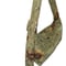 Image of "sakra" (green)