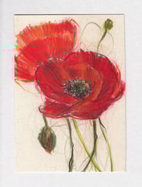 poppies no. 3