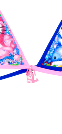 Image 6 of Shrimp& dolphin beach vibe