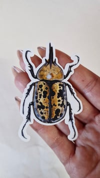 Image 8 of Insect Stickers Set of 5