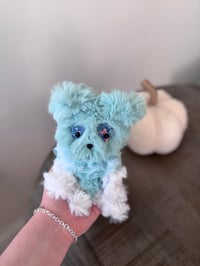 Image 2 of Sabrina Schnoodle 