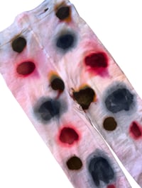 Image 2 of Lady bug