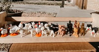 Farm Life 24pcs