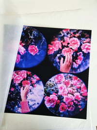 Image 2 of MOON LANDSCAPES ROSES