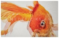 "Goldie" Framed Limited Print