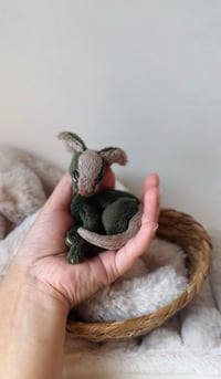 Image 1 of Baby Dragon Stem 🍃🌿🌱