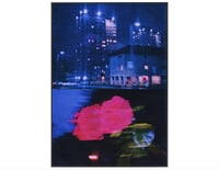 Image 2 of PICK ROSES AT NIGHT XIII