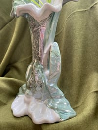 Image 7 of Spider Plant in Tall Ripped Vase