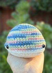 Image 1 of Rainbow Whale