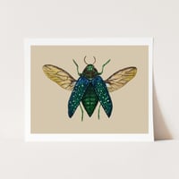 Image 1 of Green Jewel Beetle Watercolor Illustration PRINT 