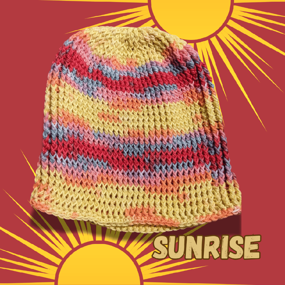 Image of siggy beanie