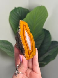 Image 2 of CONDOR AGATE -ARGENTINA- G