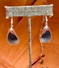 Image 1 of Apollo Metalmark Hindwings