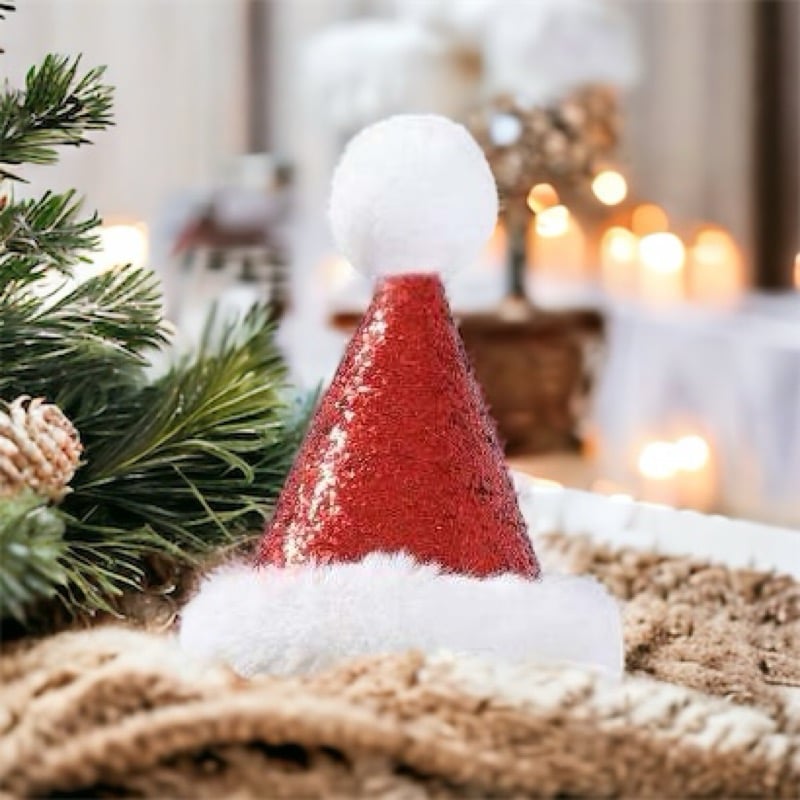 Image of Christmas Party Hat