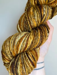 Image 2 of Earth Tone SW Merino 