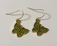 green gem butterfly 