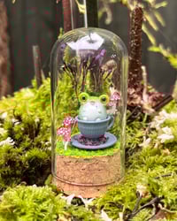 Image 1 of Medium Domes