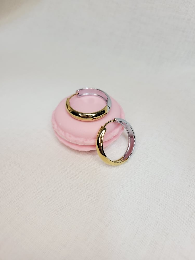 Image of Taylor Hoop Earrings 