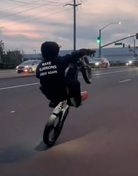 Image 3 of “MAKE SURRONS GREAT AGAIN” Thick Hoddie 