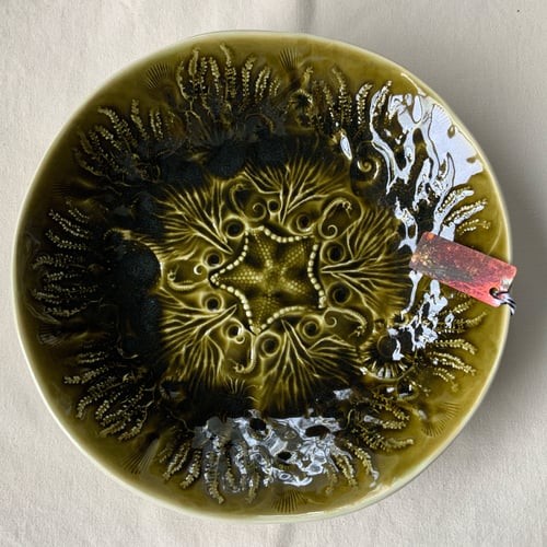 Image of Rock pool serving bowl