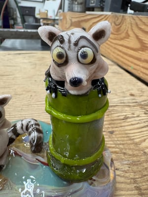 Image of Raccoons at the Park