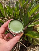 Image 3 of Healing Salve - 1oz